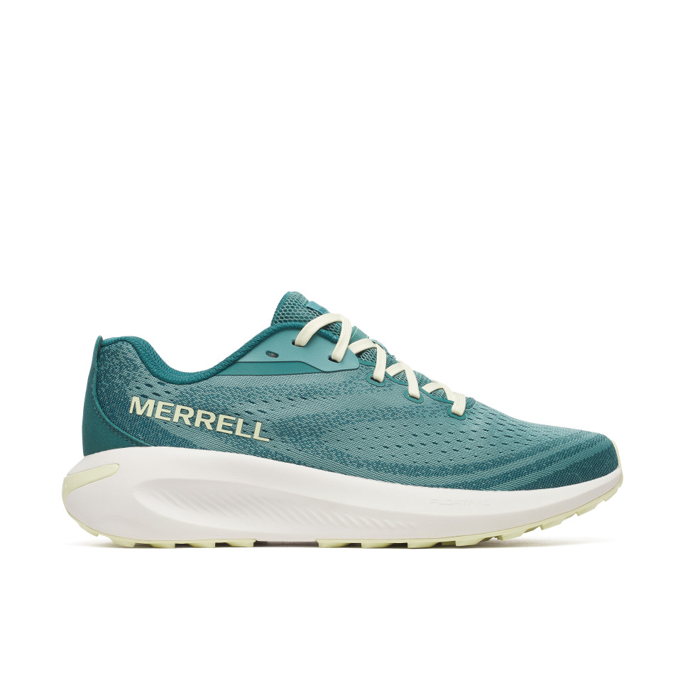 Morphlite