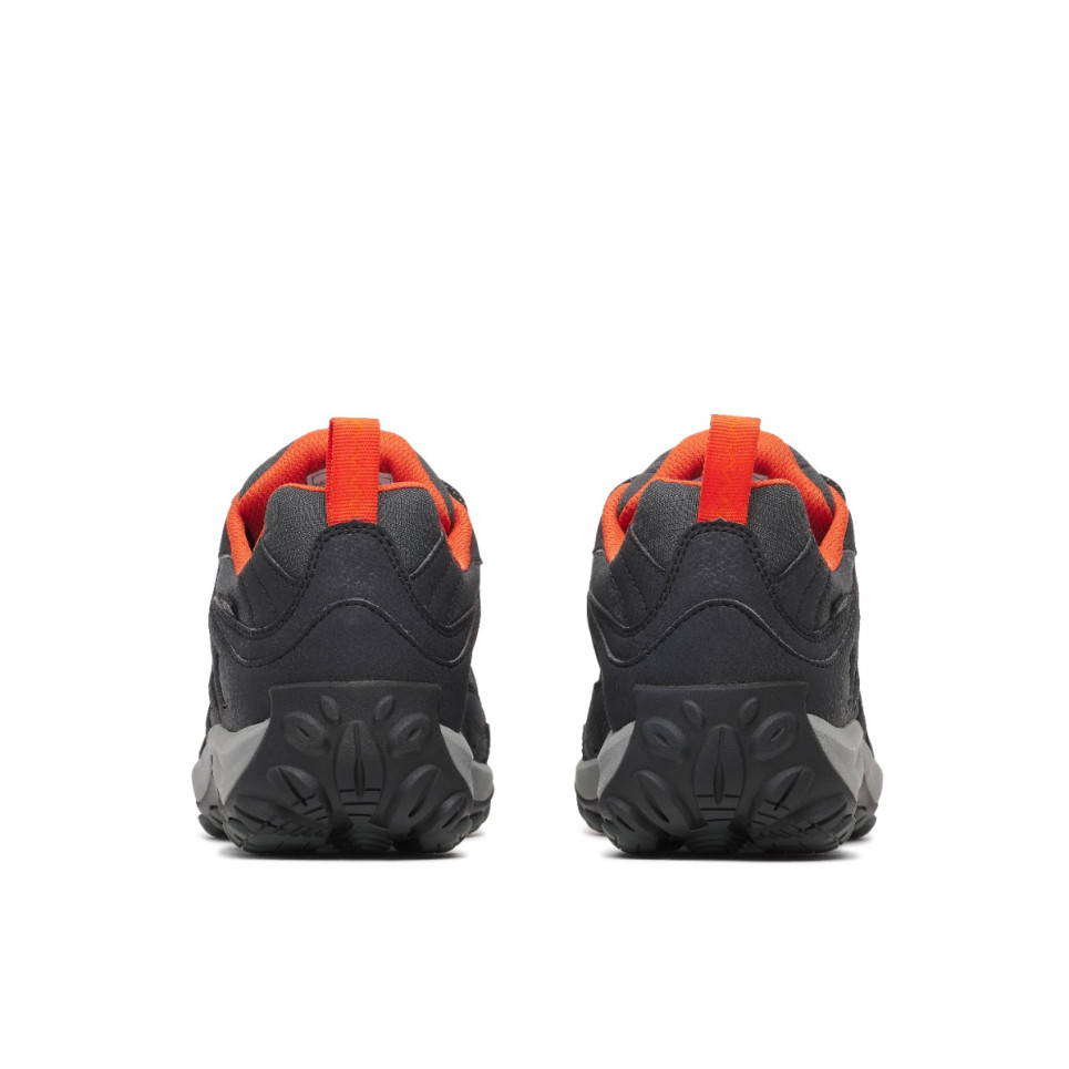 Accentor 4