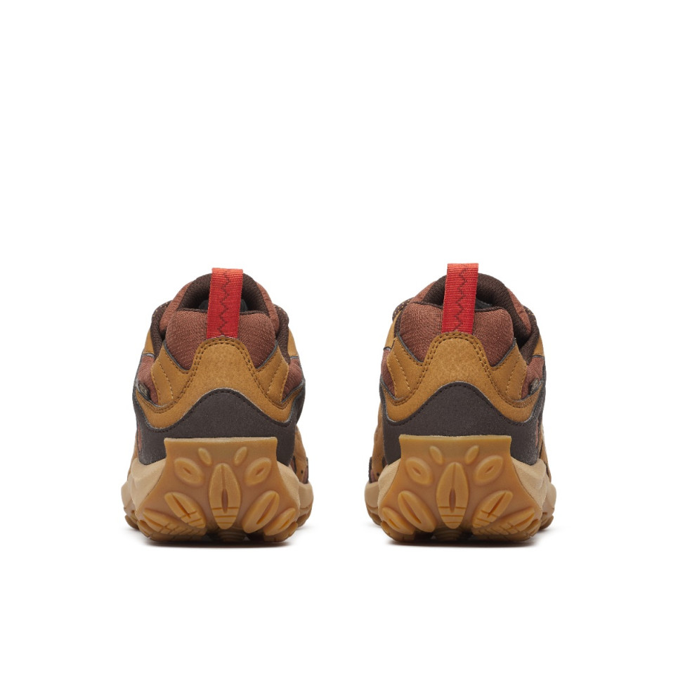 Accentor 4