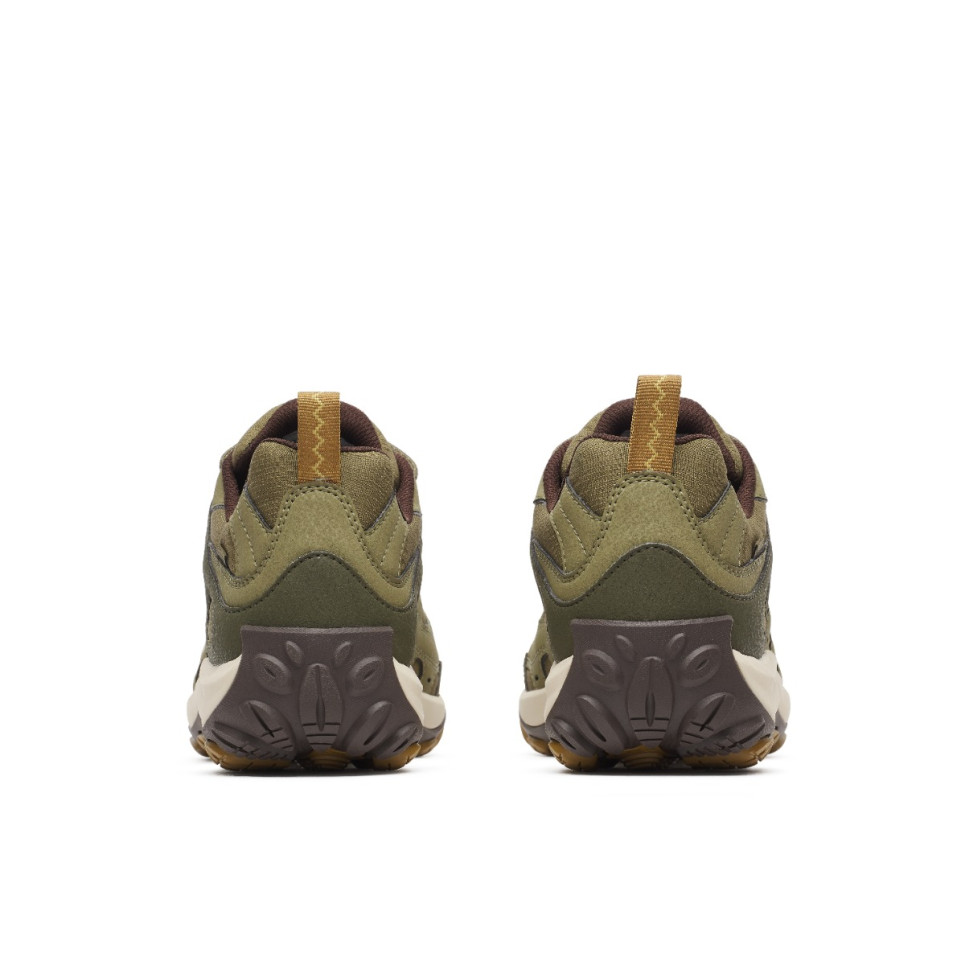 Accentor 4