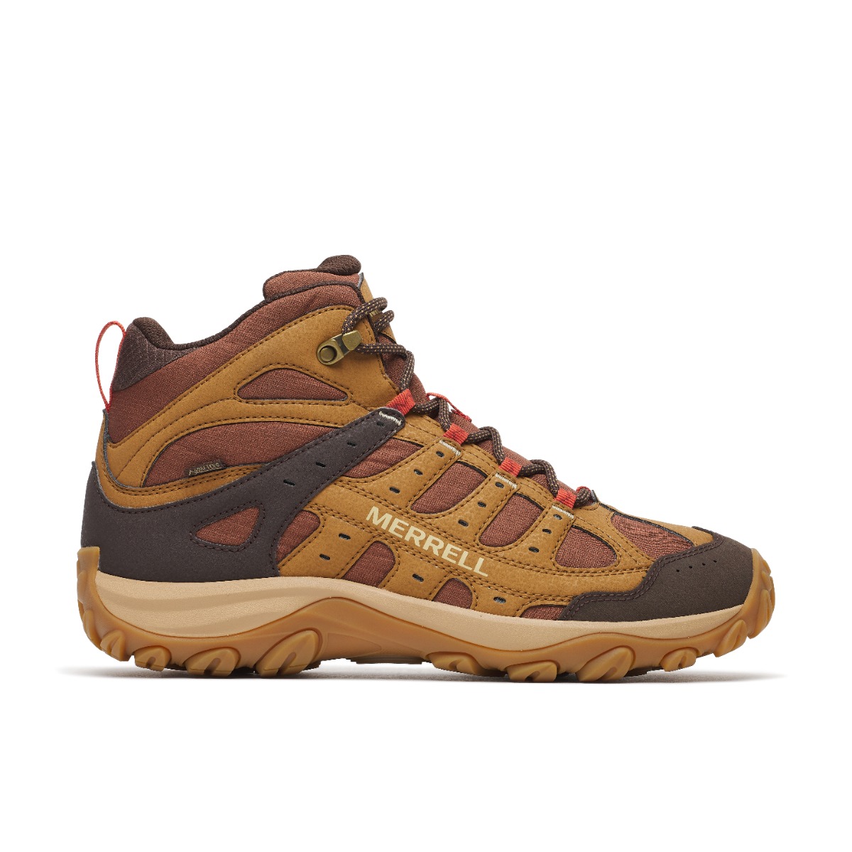 Accentor 4