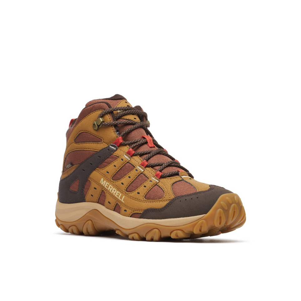 Accentor 4