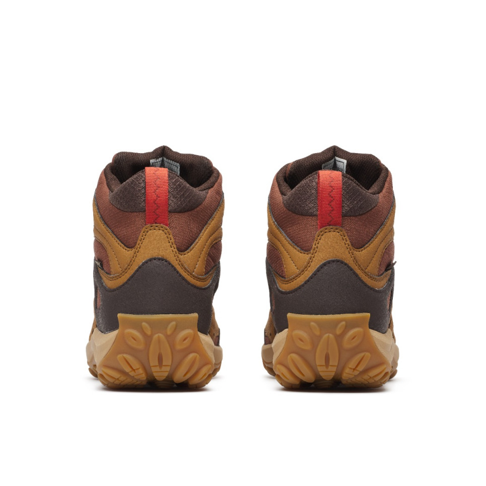 Accentor 4