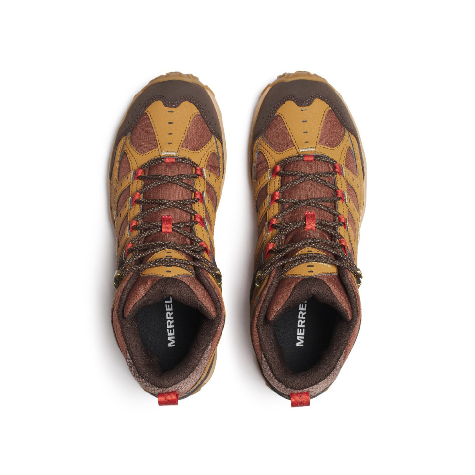 Accentor 4