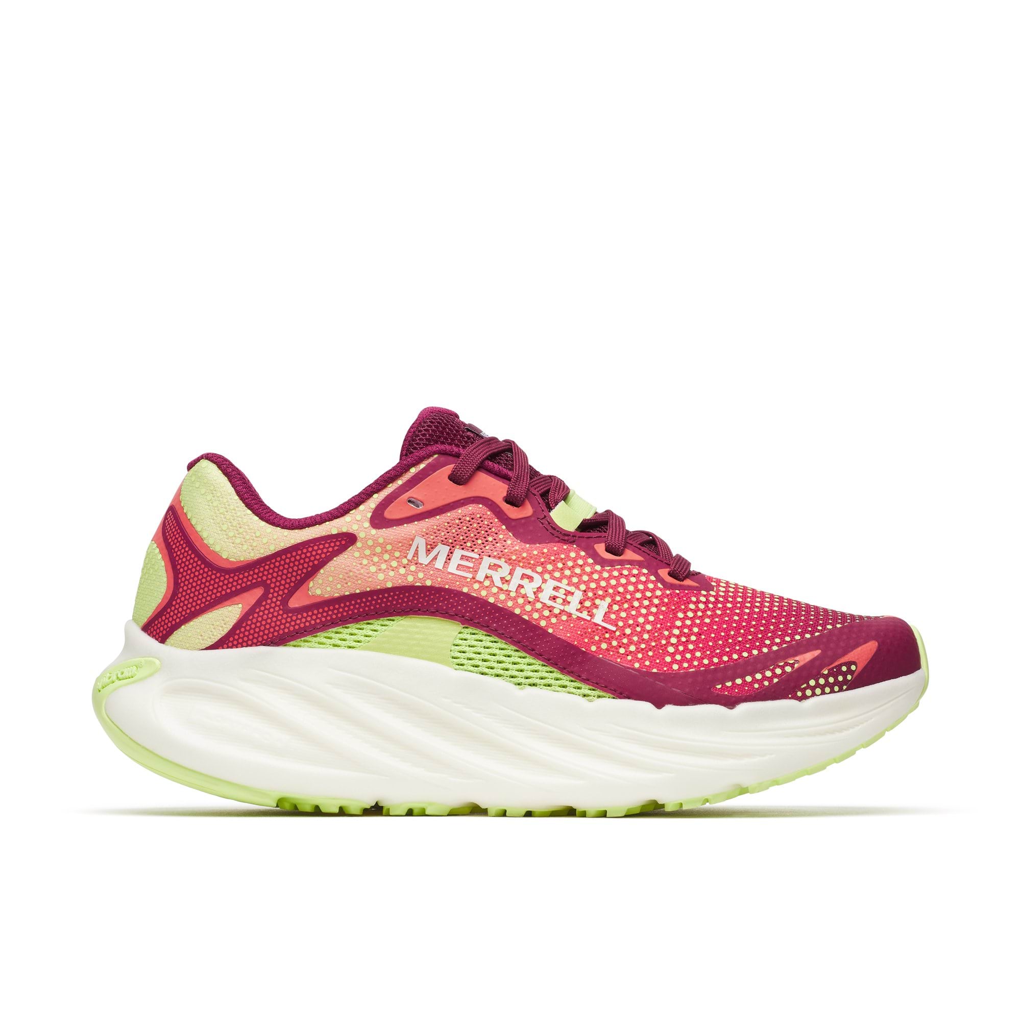 ProMorph 3D