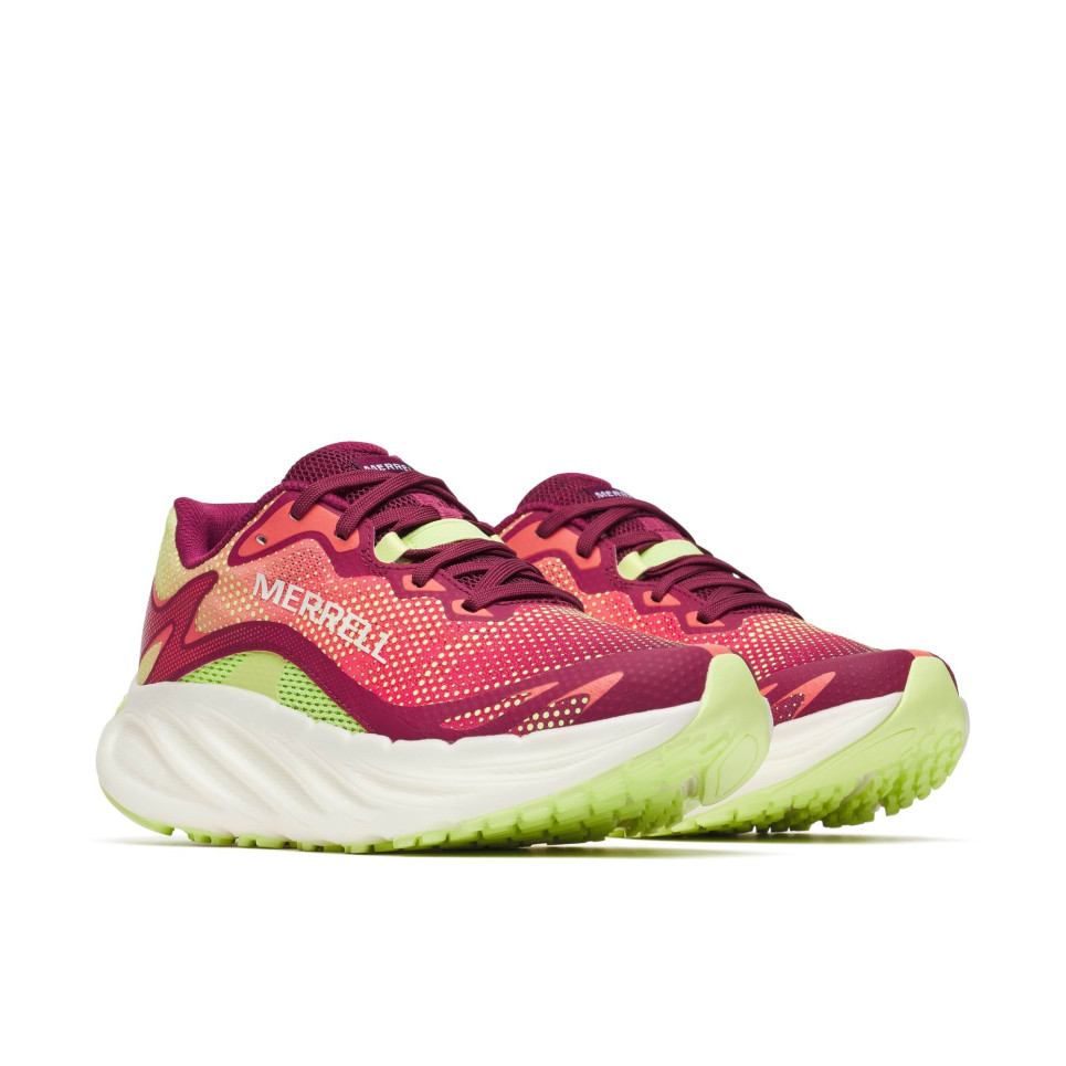 ProMorph 3D