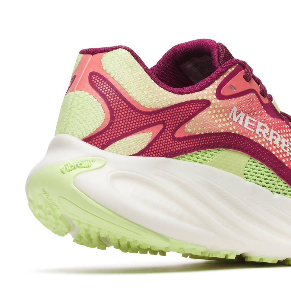 ProMorph 3D